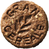 Protein+ cioccolato e scorze d’arancia